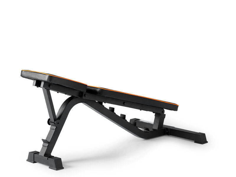 Fitness Bench image number 5